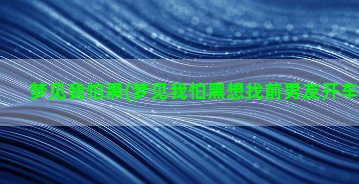 梦见我怕黑(梦见我怕黑想找前男友开车把路照亮)