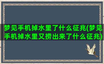 梦见手机掉水里了什么征兆(梦见手机掉水里又捞出来了什么征兆)