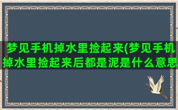 梦见手机掉水里捡起来(梦见手机掉水里捡起来后都是泥是什么意思)