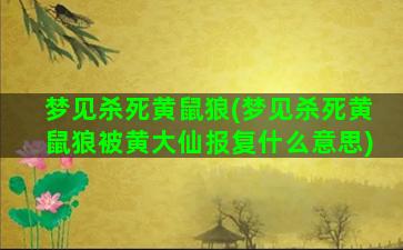 梦见杀死黄鼠狼(梦见杀死黄鼠狼被黄大仙报复什么意思)