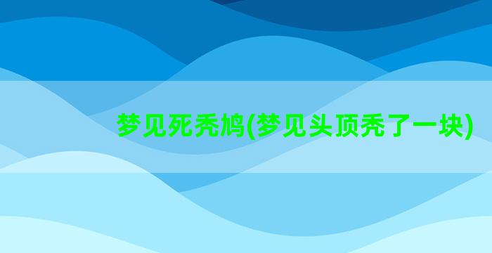 梦见死秃鸠(梦见头顶秃了一块)