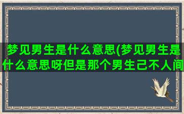 梦见男生是什么意思(梦见男生是什么意思呀但是那个男生己不人间了)