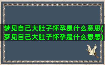 梦见自己大肚子怀孕是什么意思(梦见自己大肚子怀孕是什么意思)