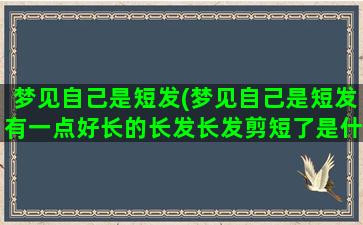 梦见自己是短发(梦见自己是短发有一点好长的长发长发剪短了是什么意思)