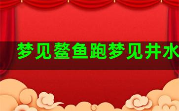 梦见鳌鱼跑梦见井水泉眼