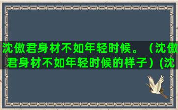 沈傲君身材不如年轻时候。（沈傲君身材不如年轻时候的样子）(沈傲君身材走样)