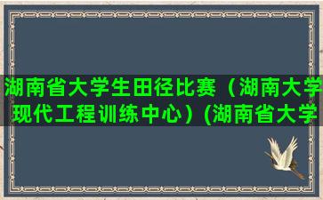 湖南省大学生田径比赛（湖南大学现代工程训练中心）(湖南省大学生田径锦标赛)