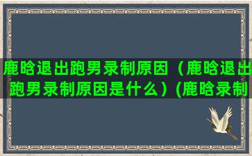 鹿晗退出跑男录制原因（鹿晗退出跑男录制原因是什么）(鹿晗录制跑男是哪一年)